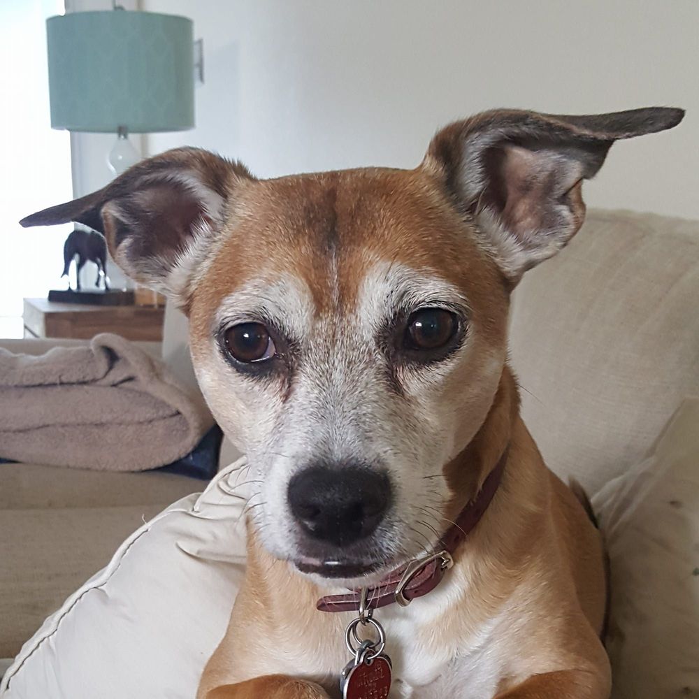 Meet your Posher, Becky